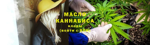 индика Шали