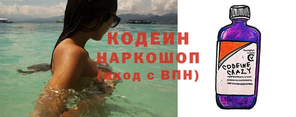 индика Шали