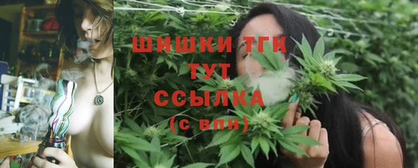 индика Шали