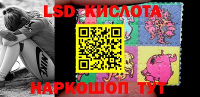 прущие грибы Балаково
