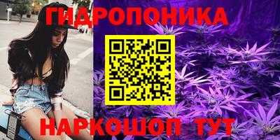 прущие грибы Балаково