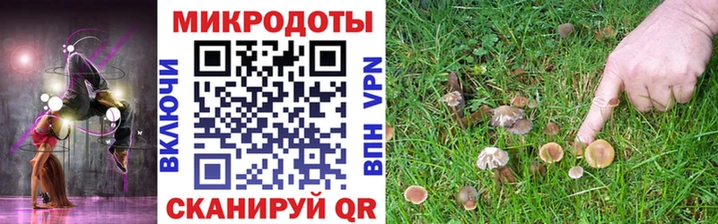 Галлюциногенные грибы Psilocybine cubensis  Белебей 