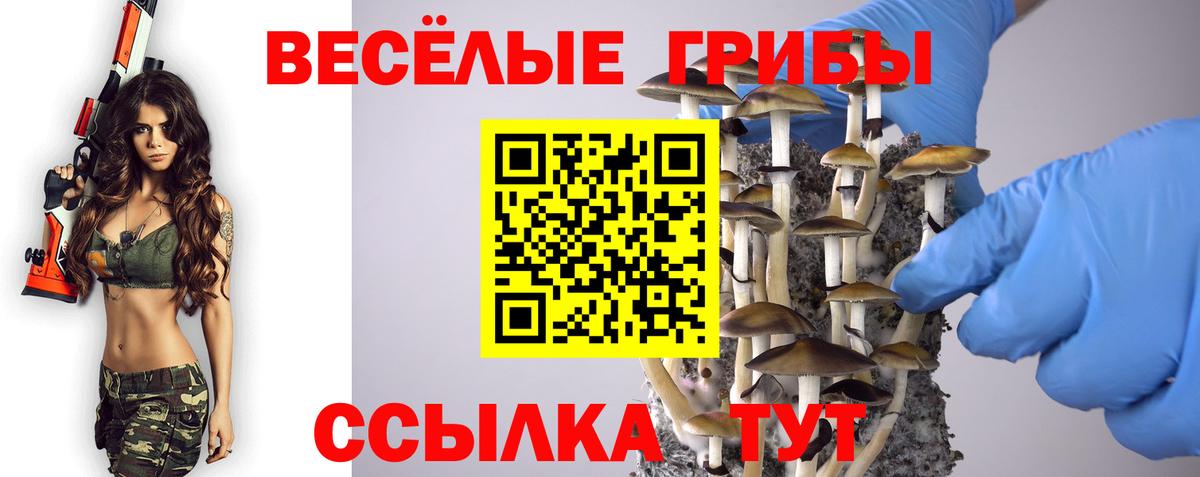 Галлюциногенные грибы GOLDEN TEACHER Белебей