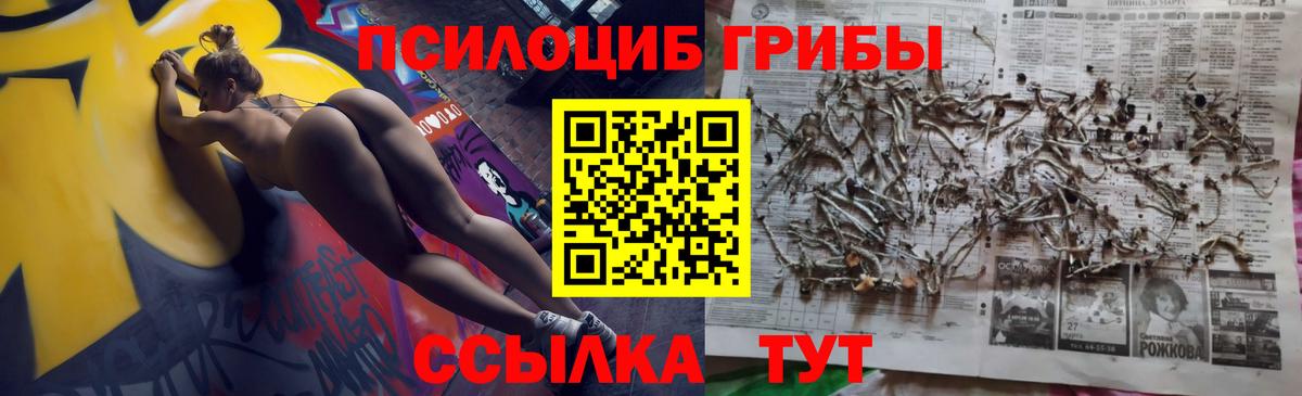 Псилоцибиновые грибы GOLDEN TEACHER Белебей